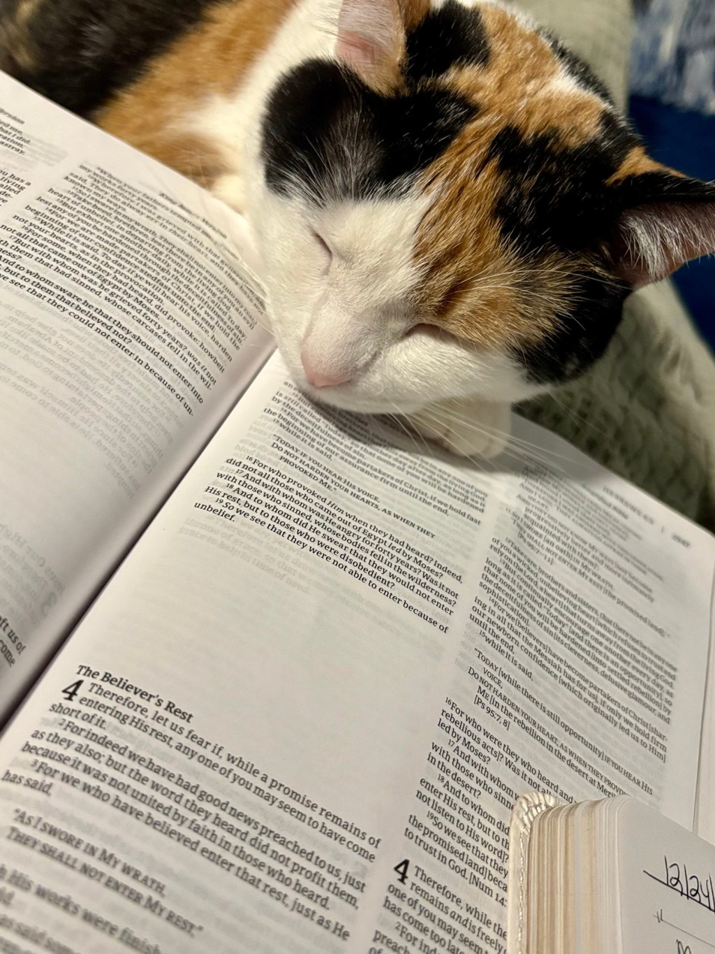 It’s “okay”: it looks&nbsp;different